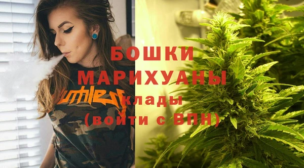 амф Белоозёрский