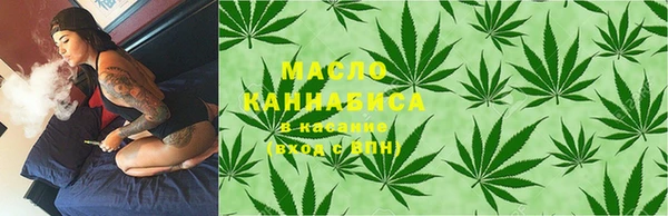 гидра Богданович