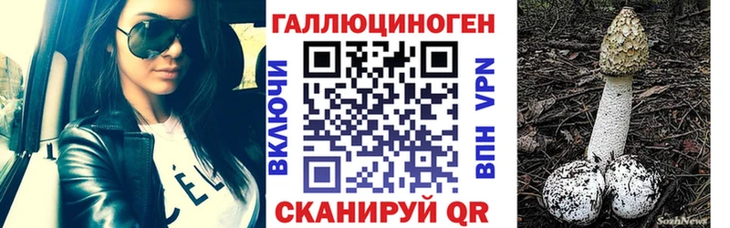 Галлюциногенные грибы прущие грибы  где купить наркоту  мега ССЫЛКА  это наркотические препараты  Высоковск 